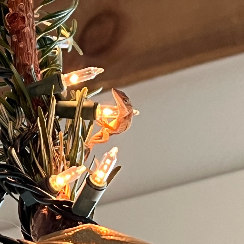 Meet your Posher, Emma